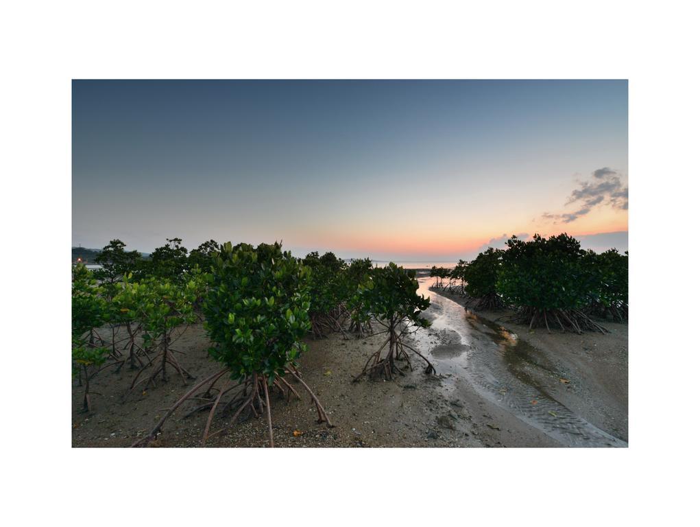 Oceanview Yui Ξενοδοχείο Ishigaki  Εξωτερικό φωτογραφία